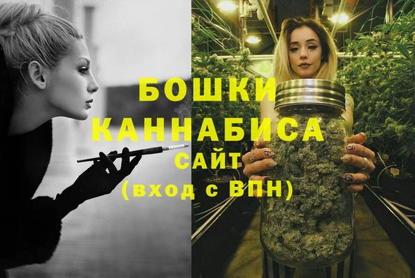 СК Бородино