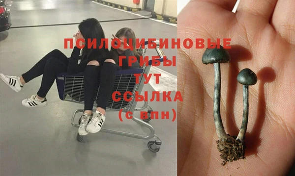 a pvp Богородицк
