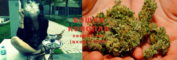 стафф Богородск