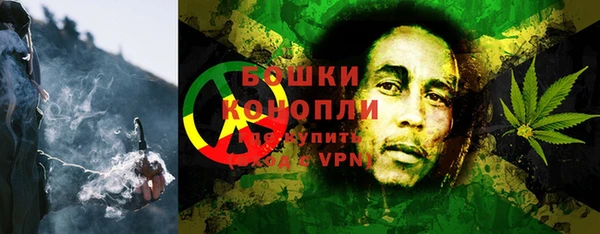 гашик Богданович