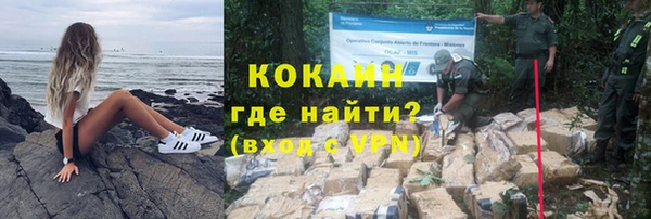 гашик Богданович
