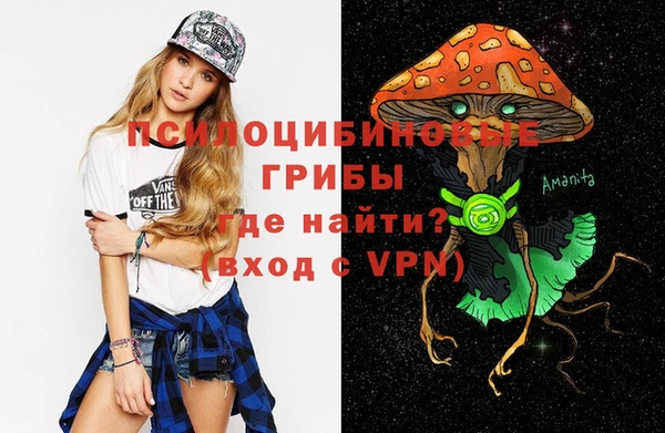 apvp Бронницы