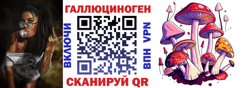 где можно купить   Киров  Псилоцибиновые грибы GOLDEN TEACHER 